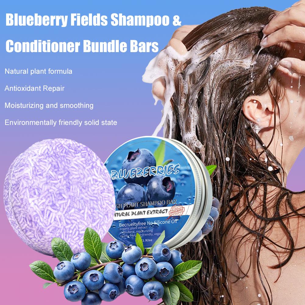 Blueberry Shampoo Soap Handmad - огляд і ціна Hair Care Tonic
